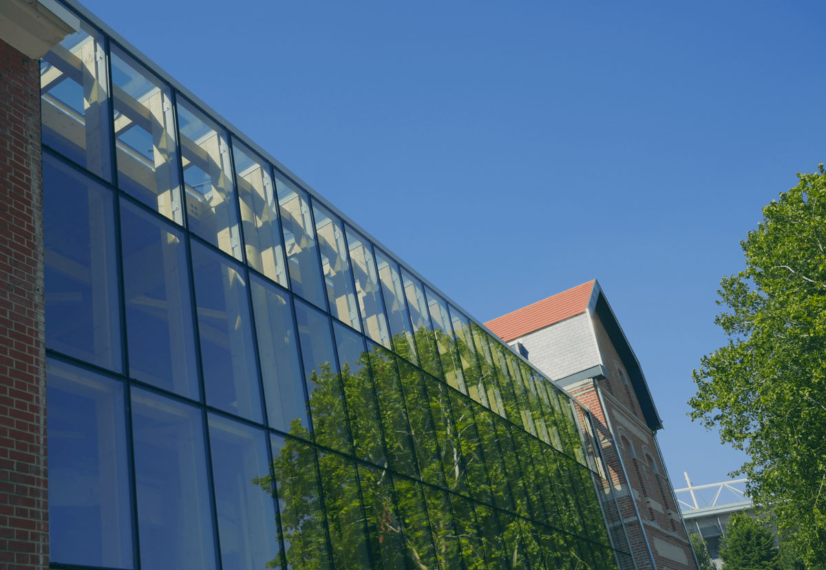 Louvre Lens Vallée